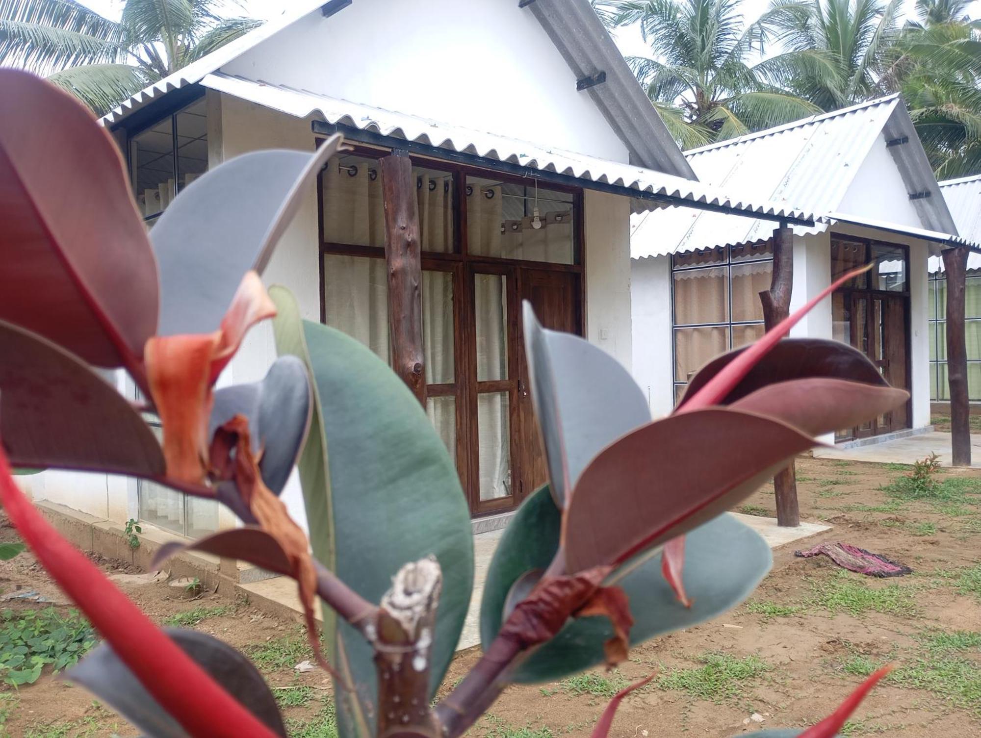 Eagle Safari Cottage Udawalawe Exterior photo